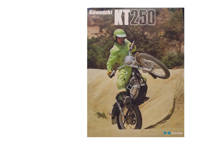 Kawasaki KT250.