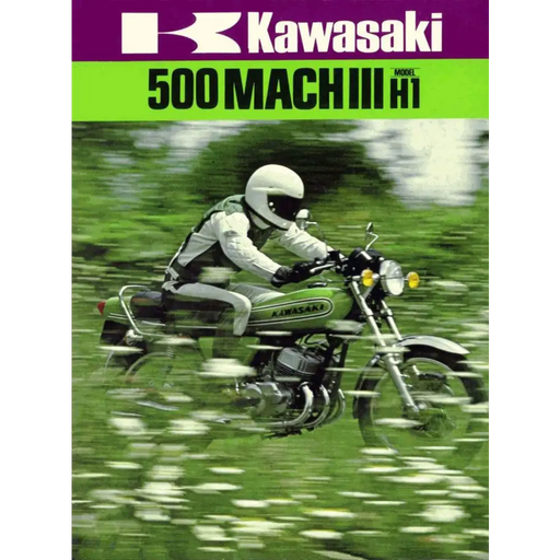 5: KAWASAKI HID 500 Green - GREEN - Vehicle Decals