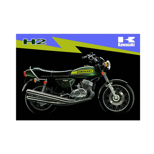 7: Kawasaki H2B 750 Candy Green - Candy Green - Decals