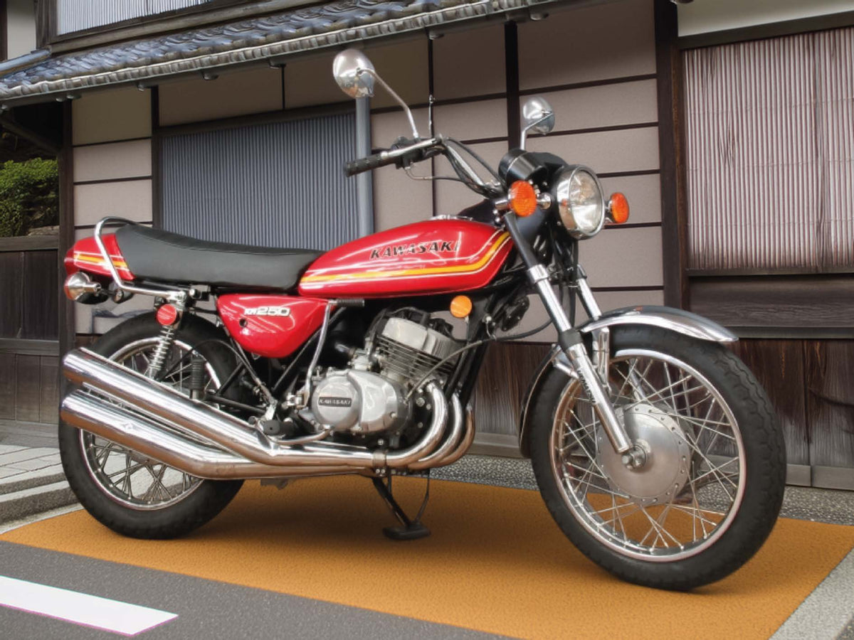 Kawasaki KH250 A5/B1  Red colour-way