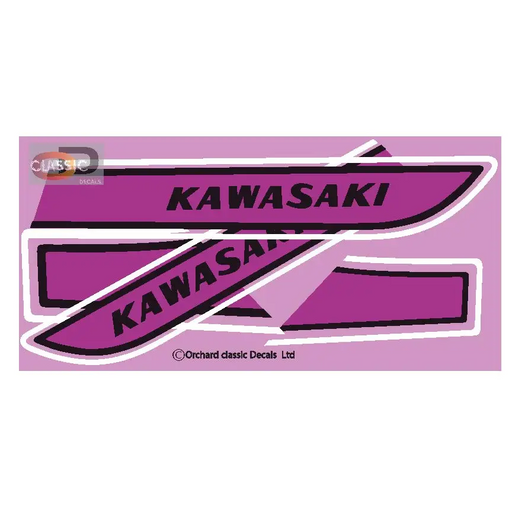 Kawasaki H2C 750 Purple - Purple