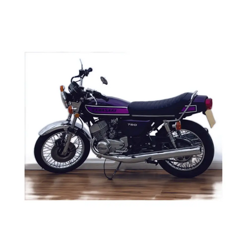 Kawasaki H2C 750 Purple - Purple