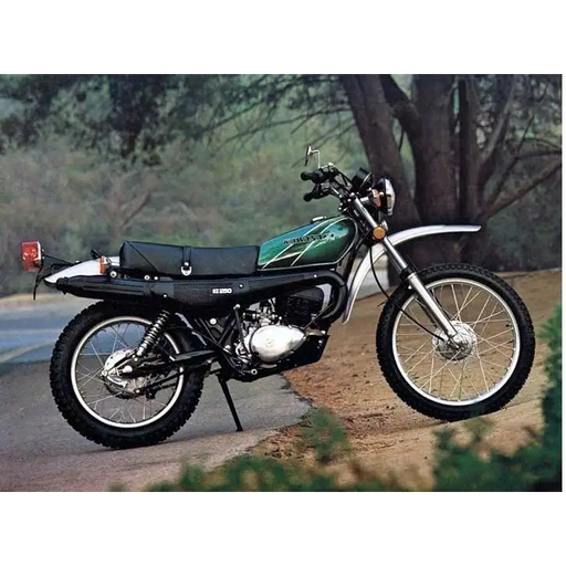 KAWASAKI KE250 1977 Green Gradient - Green - Vehicle Decals